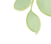 靶向中考,聚力同行——九年级英语备考策略优化研讨 第5张