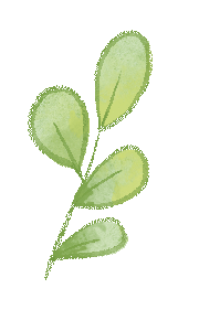 靶向中考,聚力同行——九年级英语备考策略优化研讨 第14张