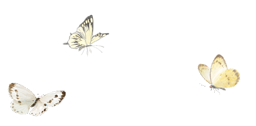 靶向中考,聚力同行——九年级英语备考策略优化研讨 第19张