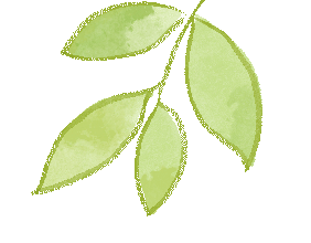 靶向中考,聚力同行——九年级英语备考策略优化研讨 第32张