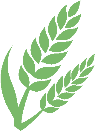 家长注意!体育中考30分想要稳稳拿满,千万别让孩子踩了这些“坑” 第5张 家长注意!体育中考30分想要稳稳拿满,千万别让孩子踩了这些“坑” 第5张