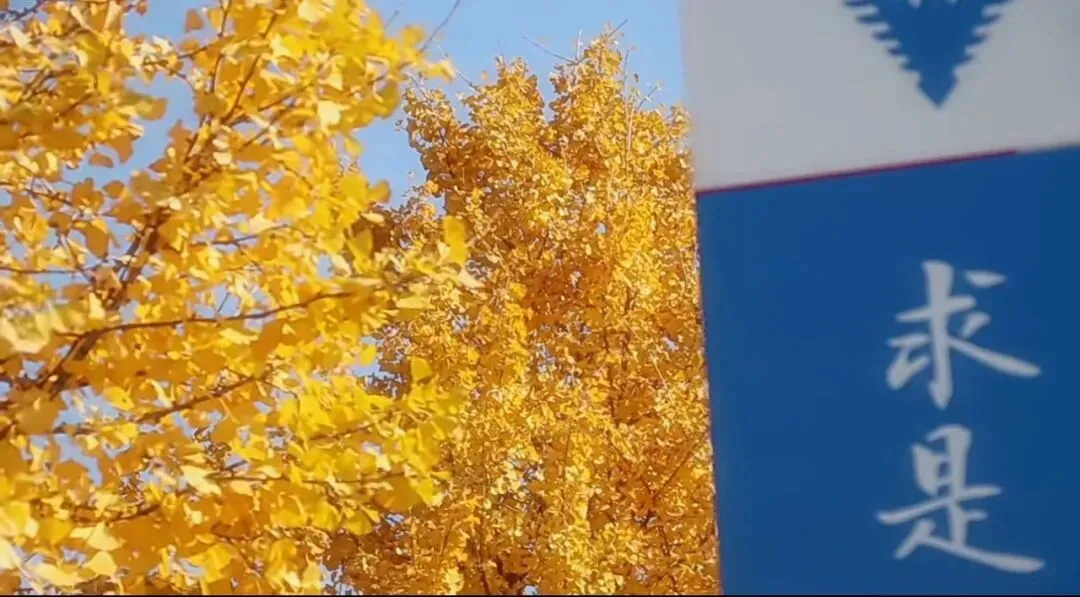 27级浙大戏剧影视真题热点题(三)解析! ——从影视艺术角度分析电子游戏发展特征以及未来趋势 第2张 27级浙大戏剧影视真题热点题(三)解析! ——从影视艺术角度分析电子游戏发展特征以及未来趋势 第2张