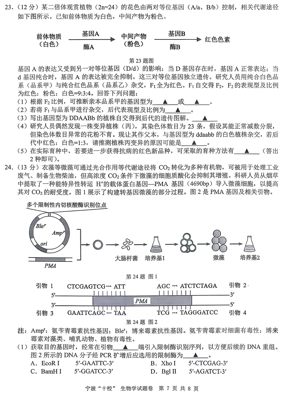 2026年3月宁波十校高三生物试卷、答案和解析 第10张