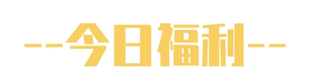 上海1-5年级必备|金试卷:语数英汇总版 第2张