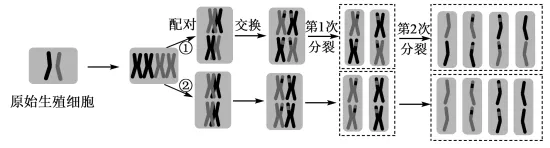 高考真题 | 每日一题(225) 第2张