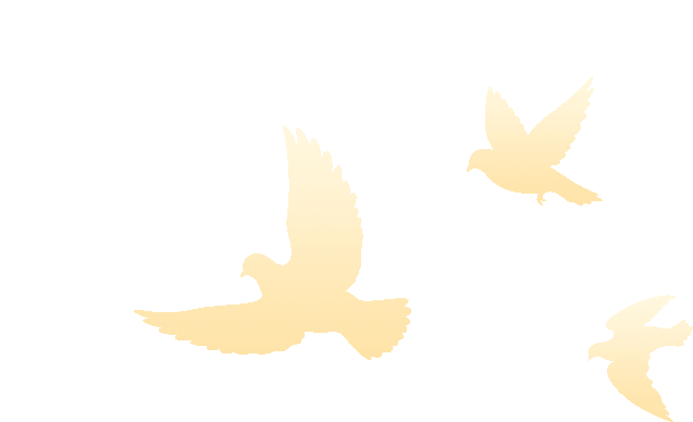 鏖战中考,金榜题名—锦秀实验学校百日誓师 第10张