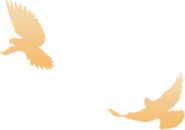 战鼓催征马蹄疾,决胜中考正当时——宜良县第二中学2026届中考誓师大会 第1张