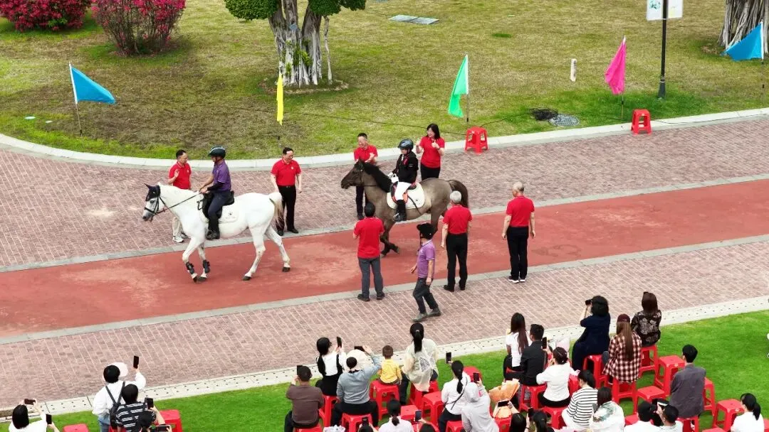 马年驰骋正当时,春分奋进恰逢期 | 中考百日动员,燃情启幕! 第14张 马年驰骋正当时,春分奋进恰逢期 | 中考百日动员,燃情启幕! 第14张