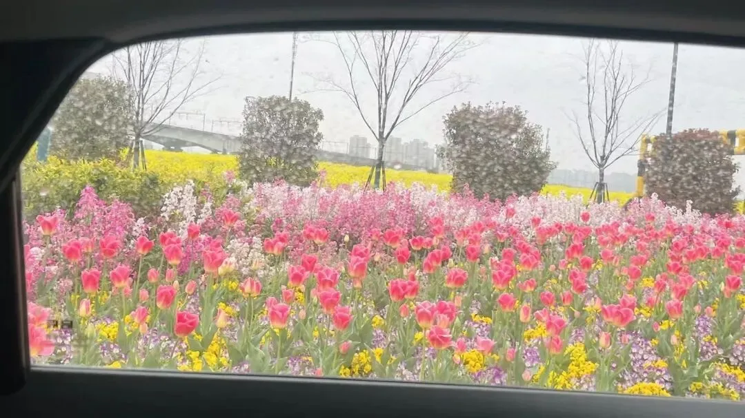 高项综合知识核心归纳拆解与真题考法(6) 第8张