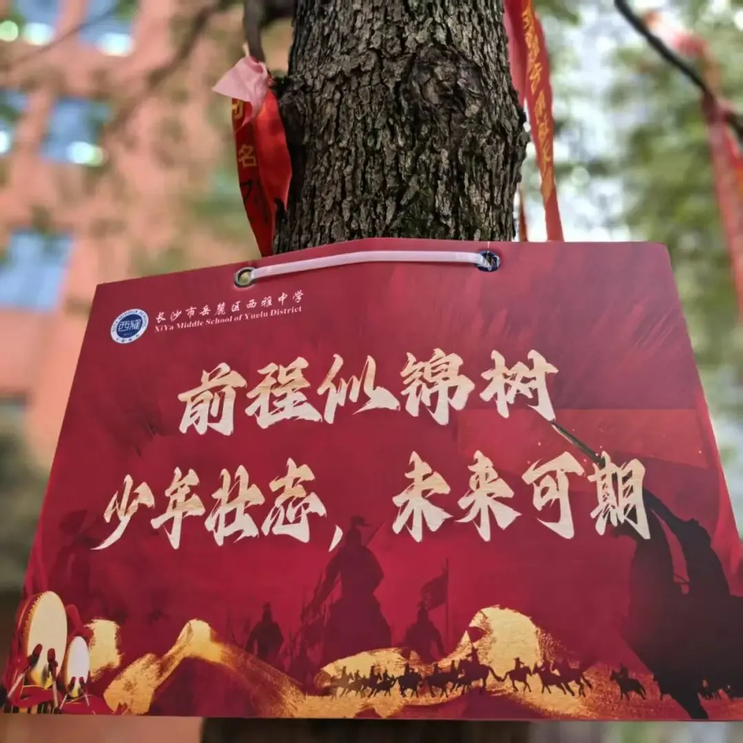 百日逐光,中考必胜! 第2张 百日逐光,中考必胜! 第2张