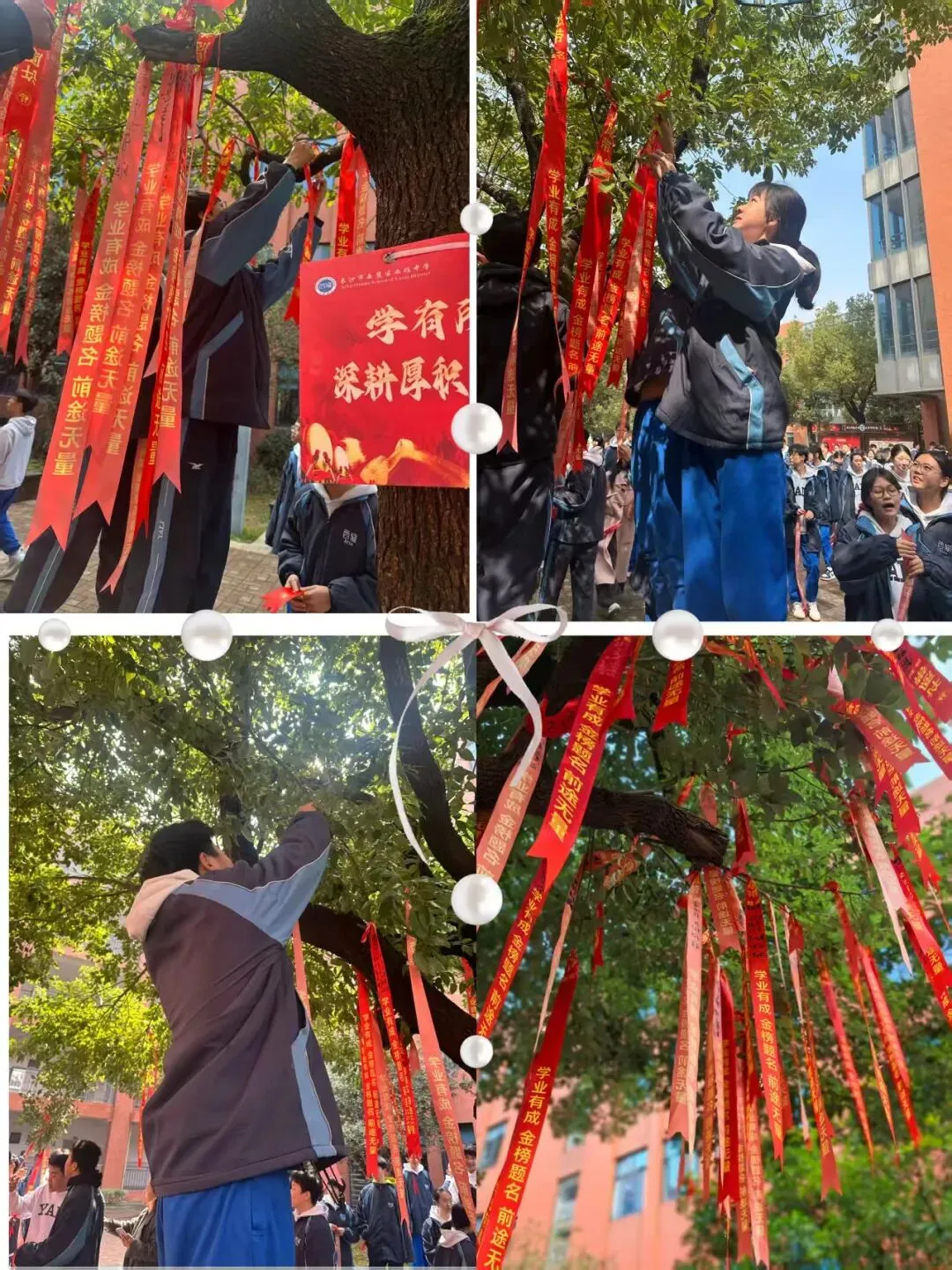 百日逐光,中考必胜! 第5张 百日逐光,中考必胜! 第5张