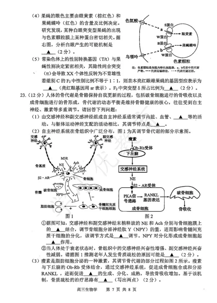 对答案!苏锡常镇高三一模(生物)真题+答案最新出炉 第10张