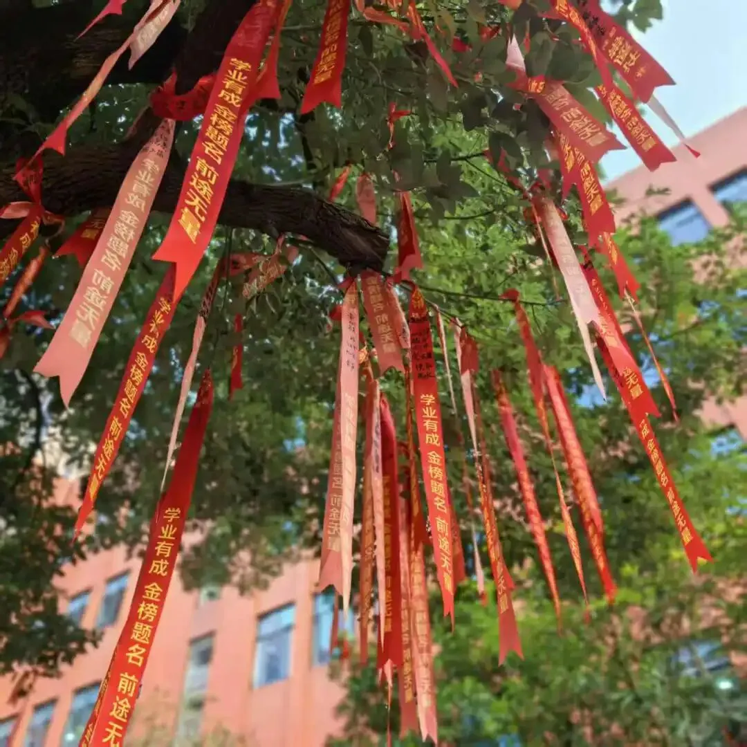 百日逐光,中考必胜! 第6张 百日逐光,中考必胜! 第6张