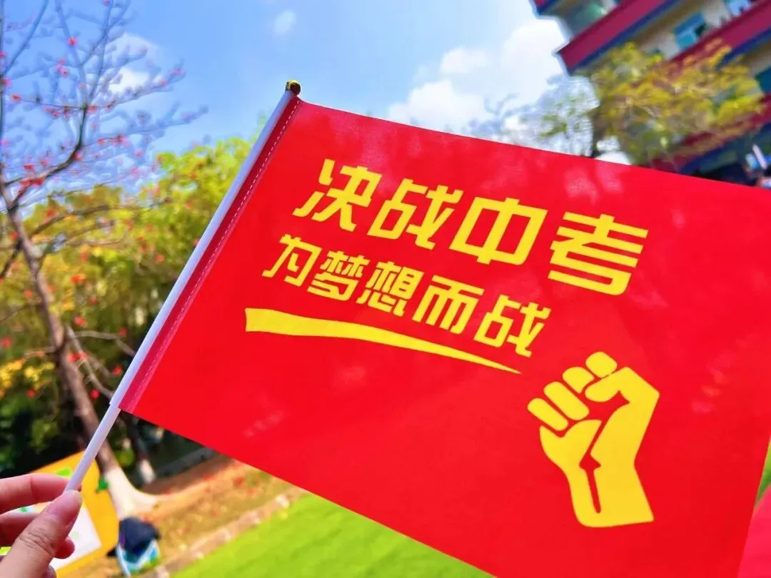 【中考百日誓师】策马扬鞭战百日 砥砺前行创佳绩——新君豪中英文学校2026届百日誓师大会 第21张