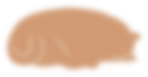 2013-2025年全国中考真题合集 第2张