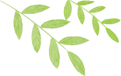 真题+模拟题+限时训练 | 2026高考阅读理解微技能600题专项 第2张