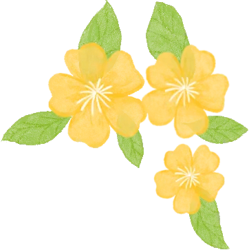 真题+模拟题+限时训练 | 2026高考阅读理解微技能600题专项 第3张