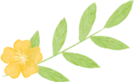 真题+模拟题+限时训练 | 2026高考阅读理解微技能600题专项 第43张