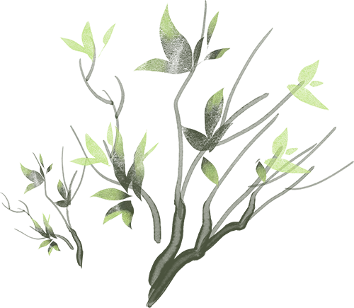 浙教版七年级下册数学第一次月考试卷《第1—2单元检测》原卷版+解析版,完整电子版可打印 第6张