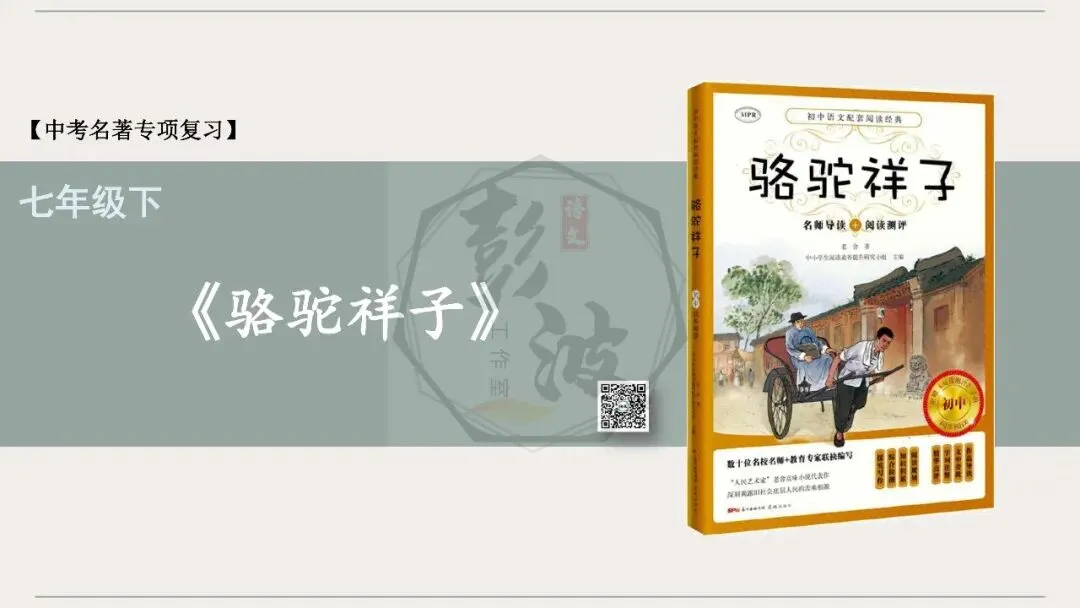 【中考复习课件-名著系列】-03《骆驼祥子》(5元) 第5张
