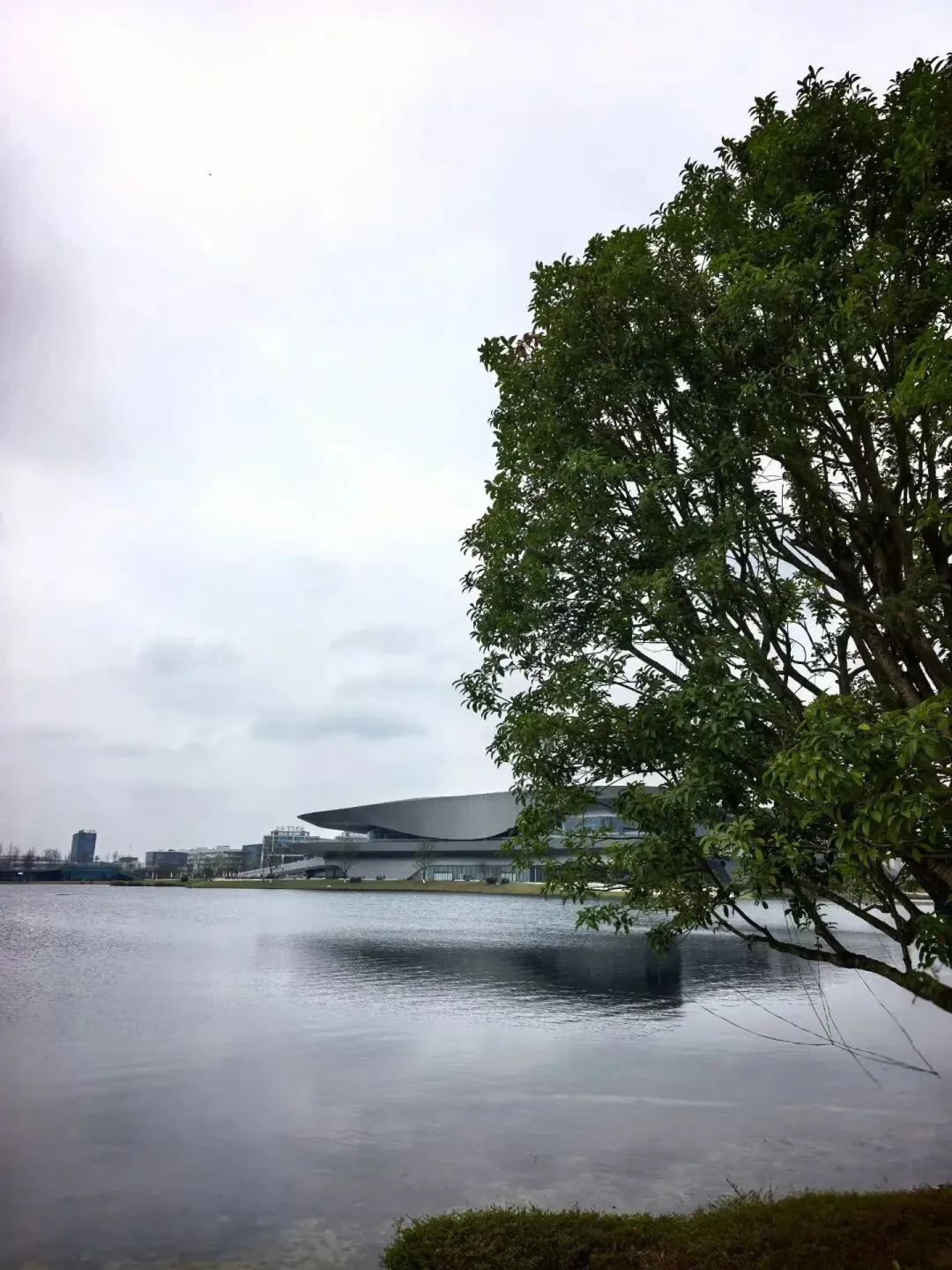 二诊倒计时:当“躺平”撞上“内卷”,中考家长的必修课 第2张