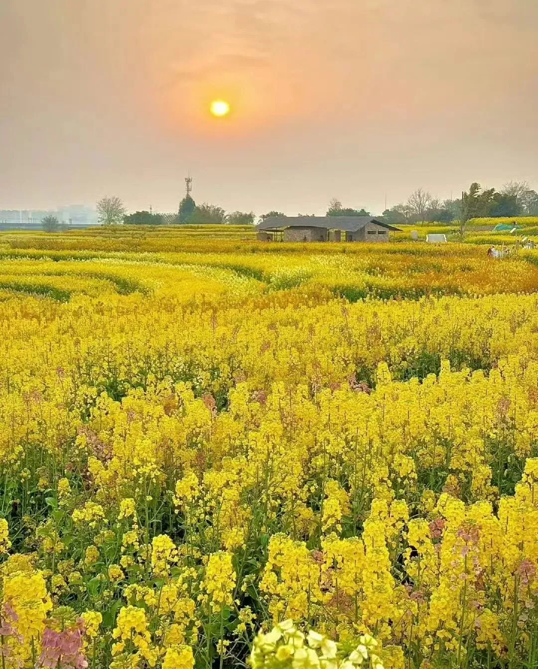 二诊倒计时:当“躺平”撞上“内卷”,中考家长的必修课 第3张