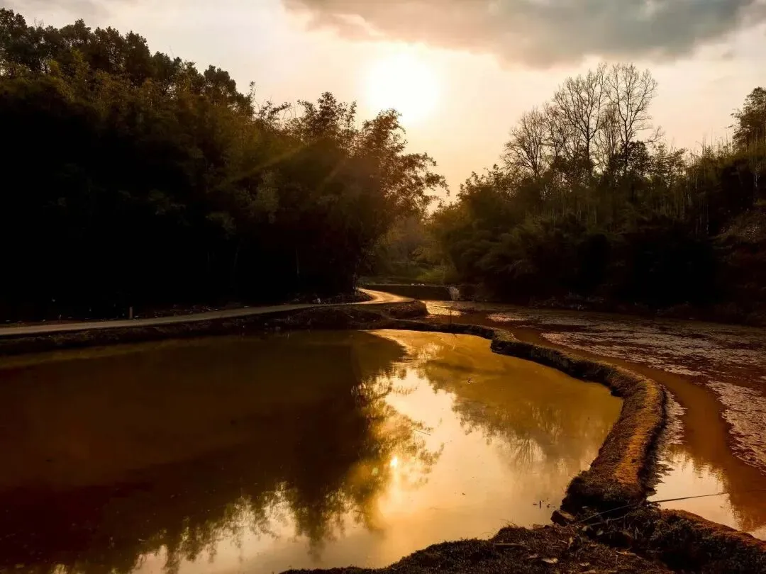 二诊倒计时:当“躺平”撞上“内卷”,中考家长的必修课 第4张