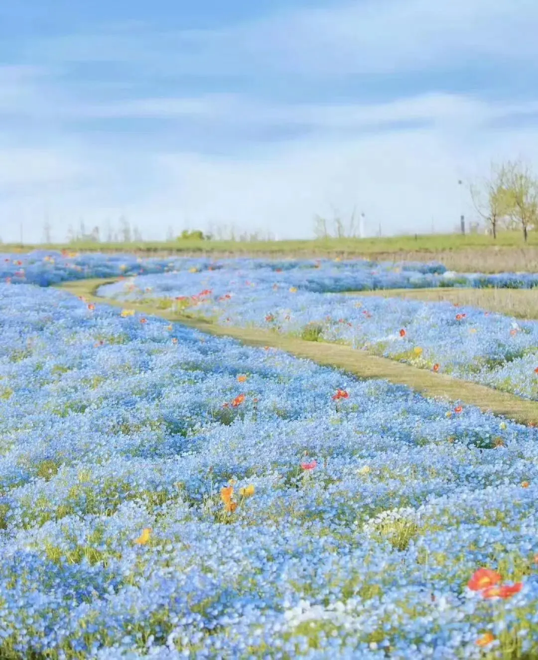 二诊倒计时:当“躺平”撞上“内卷”,中考家长的必修课 第6张