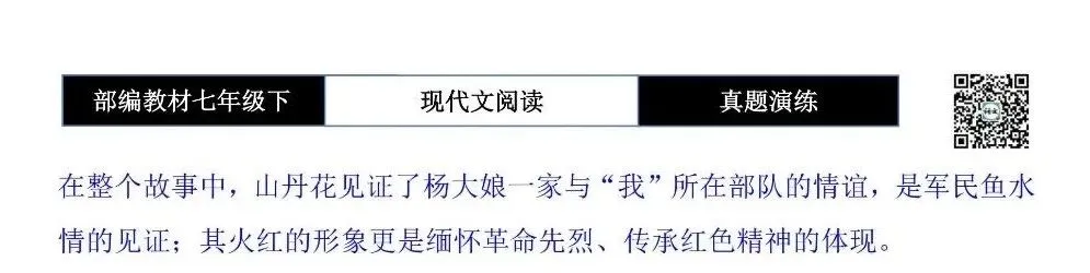 【现代文阅读-真题演练】七年级下-26-碧血山丹-思维导图+试题精析 第10张