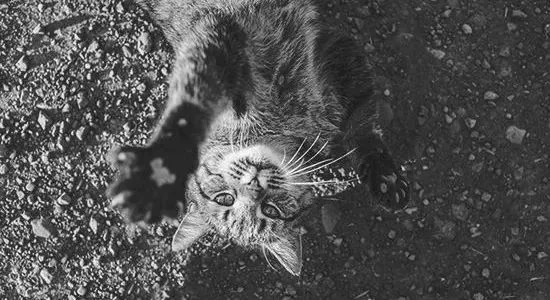 水墘中学,中考百日誓师大会! 第4张