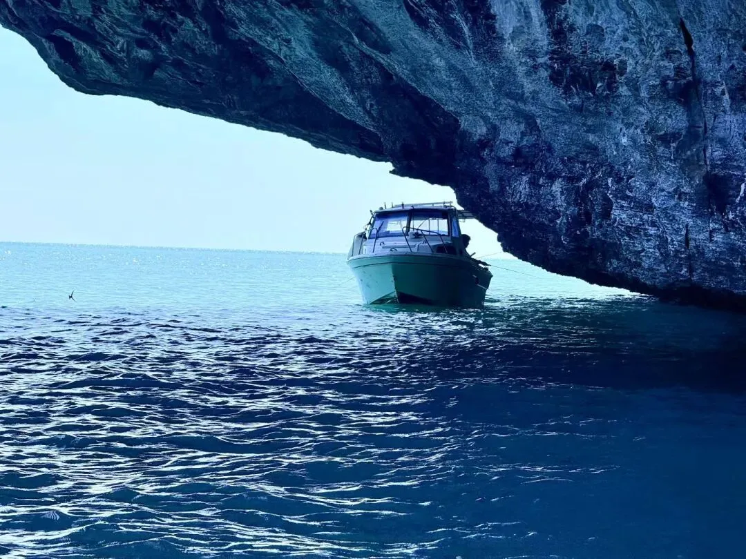 中考语文|刷十年真题,懂河南中考语文考法 第1张