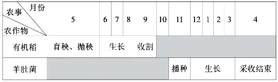 2026年汕头市普通高考第一次模拟考试地理 第5张