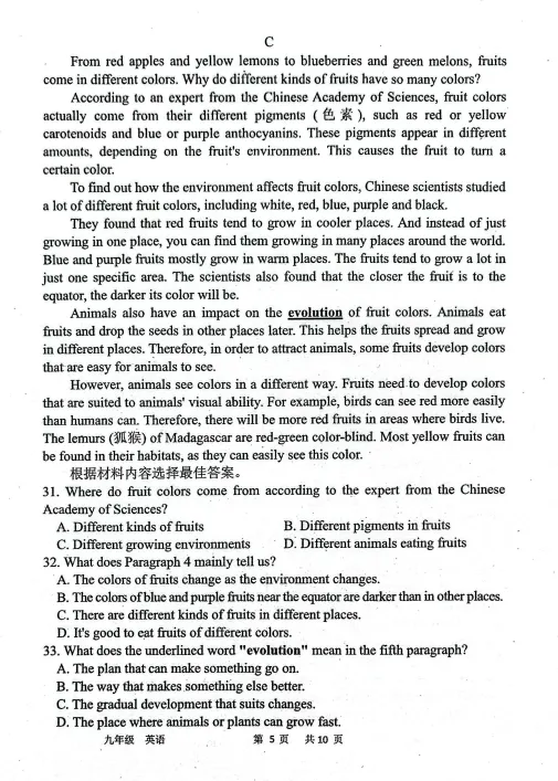 2026河南省实验中学中考一模英语试卷及答案 第6张