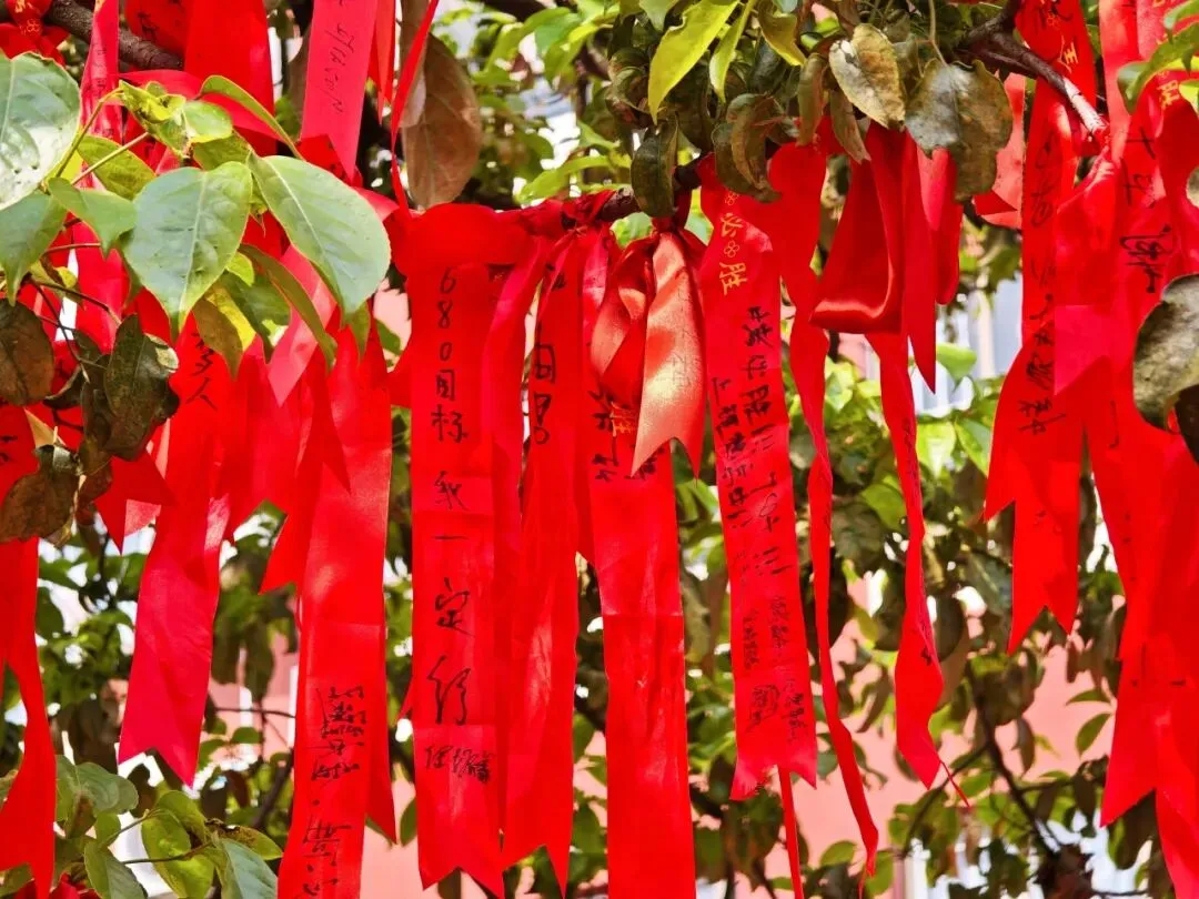 【中学部】骐骥驰骋冲百日,全力以赴赢中考|白云华赋2026届初三百日誓师大会圆满落幕 第184张