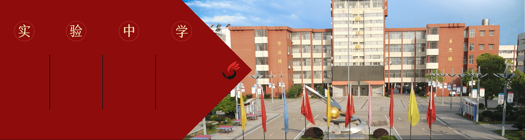 聚焦学习中心 赋能中考备考——全市中考语文研讨会 第1张