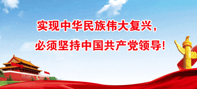 聚焦学习中心 赋能中考备考——全市中考语文研讨会 第22张