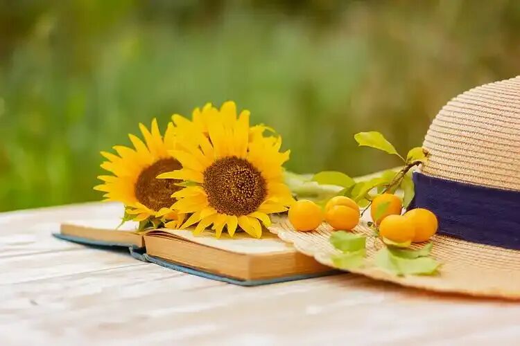 中考妈妈:初三的周末,我只想让孩子多睡一会儿 第2张 中考妈妈:初三的周末,我只想让孩子多睡一会儿 第2张