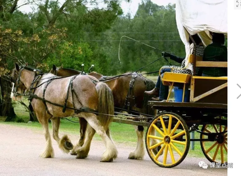 中考物理---力学易错,压轴题文字、视频都有 第3张