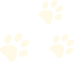 深圳家长花5万报中考集训:倾尽所有托举,别让焦虑遮住理智! 第2张