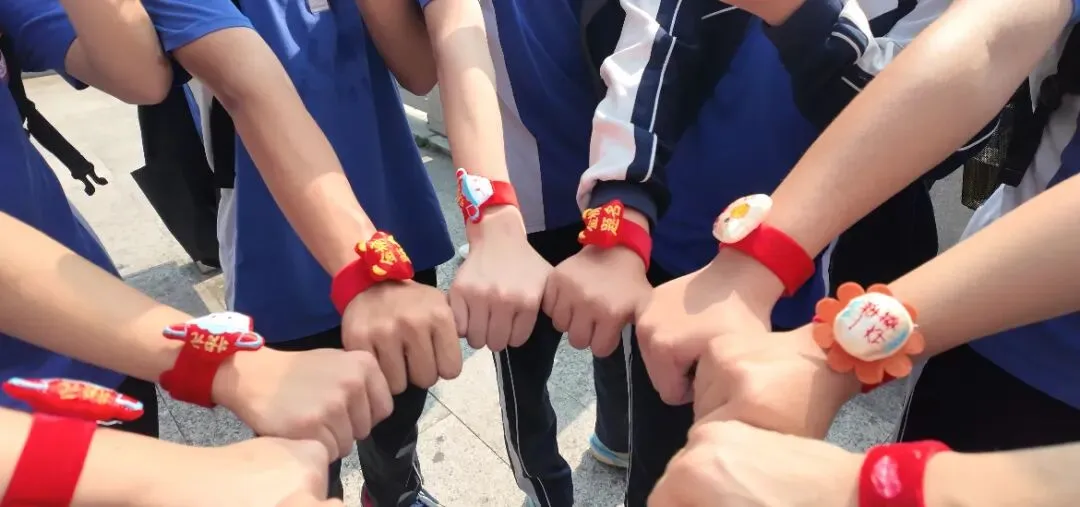 攀山砺志 为梦出征——初三年级中考冲刺登山誓师活动 第25张