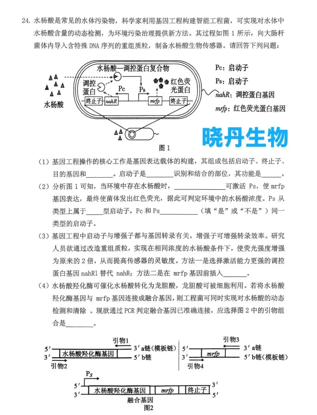 2026年3月辽宁省抚顺市高三下学期模拟考试—基因工程 第1张