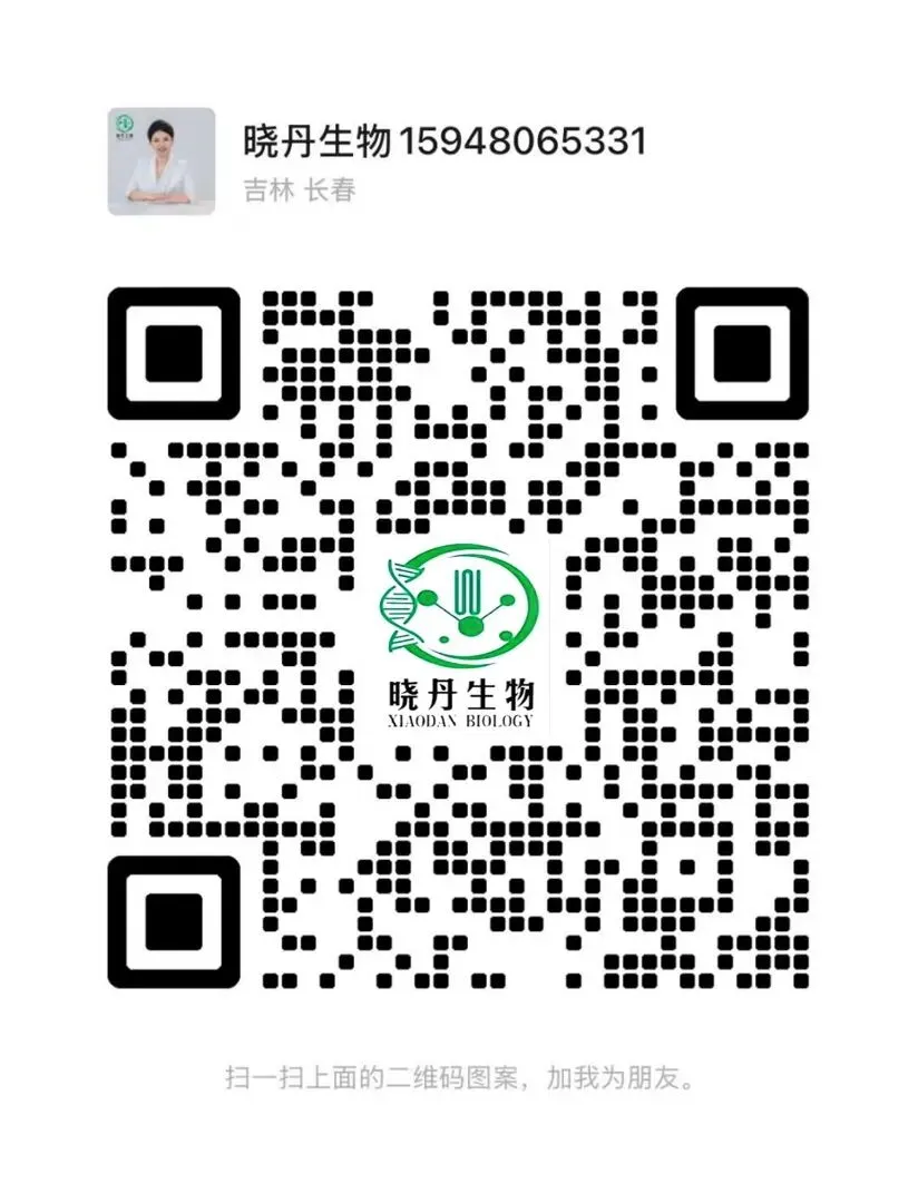 2026年3月辽宁省抚顺市高三下学期模拟考试—基因工程 第3张