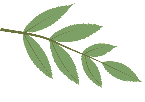 2026中考倒计时!杨浦升学数据大盘点 第6张 2026中考倒计时!杨浦升学数据大盘点 第6张