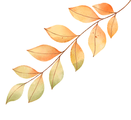 2026中考倒计时!杨浦升学数据大盘点 第9张 2026中考倒计时!杨浦升学数据大盘点 第9张