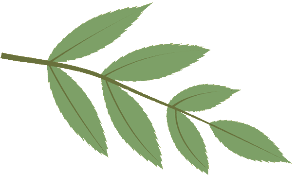 2026中考倒计时!杨浦升学数据大盘点 第22张 2026中考倒计时!杨浦升学数据大盘点 第22张