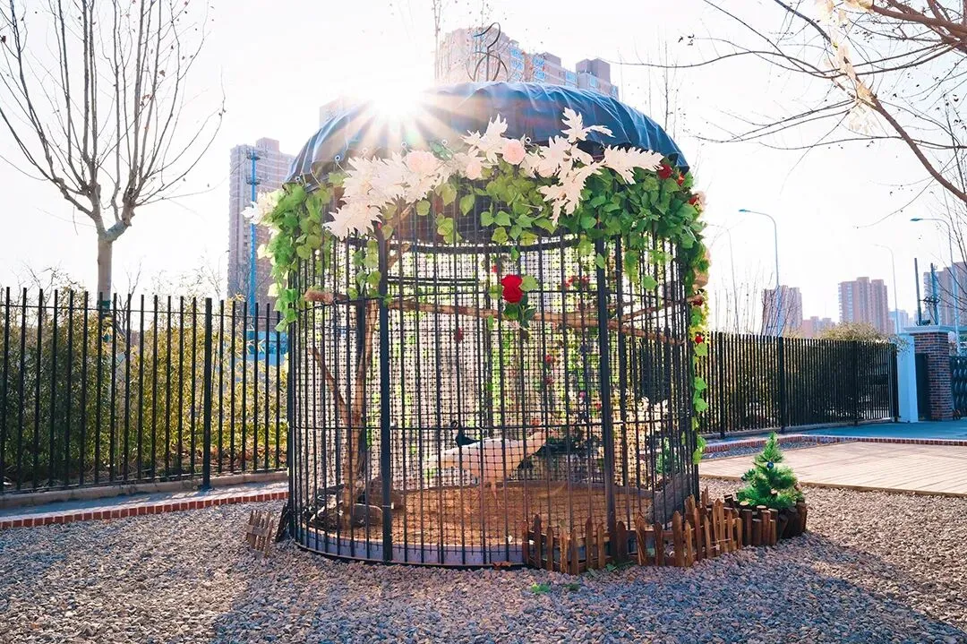 【希牛画室美术中考招生简章】初三必看,降分录取+全程护航,圆你重点梦! 第22张