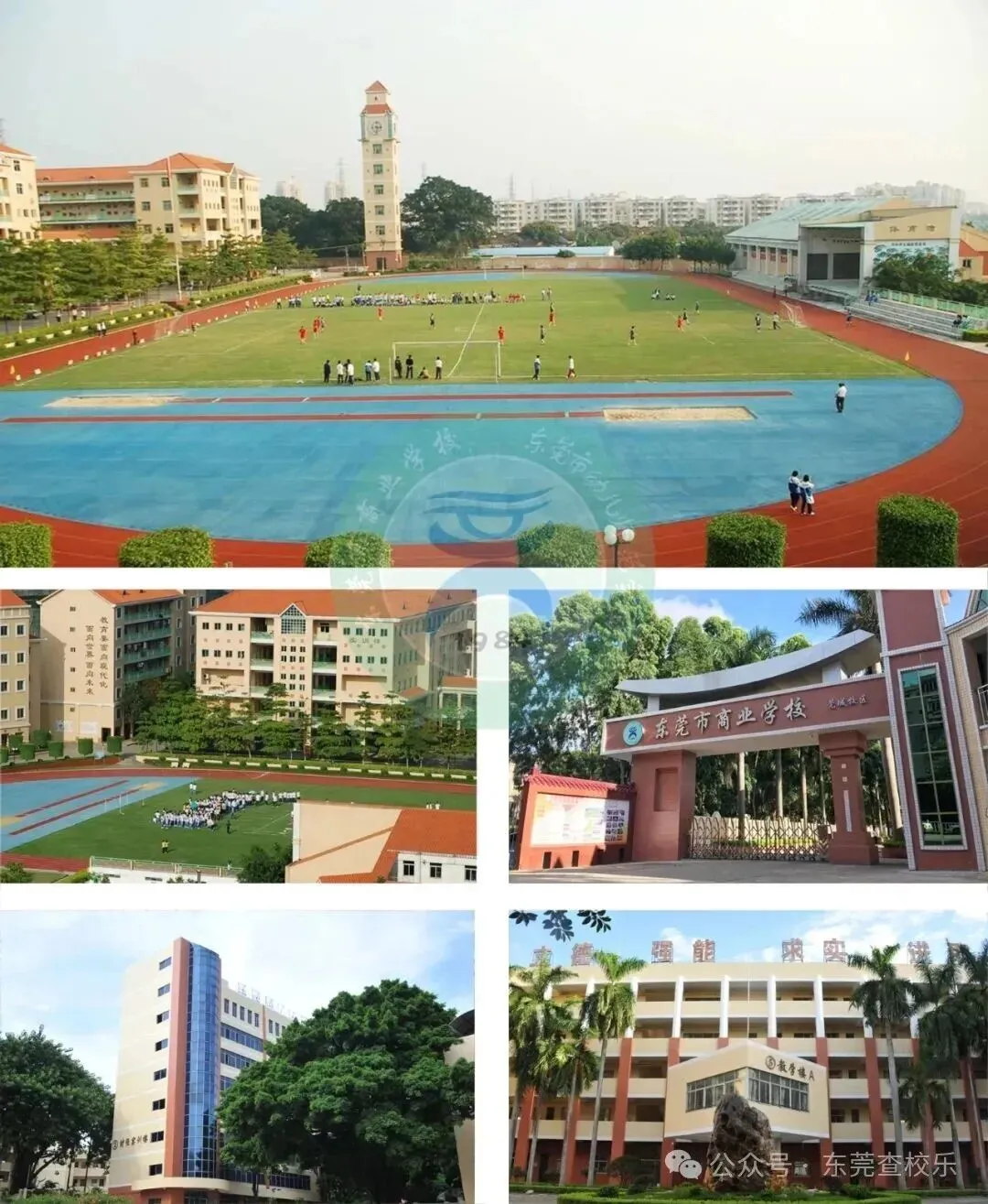 东莞中考家庭必看!公办中职汇总(升学率、简介、分数线) 第10张