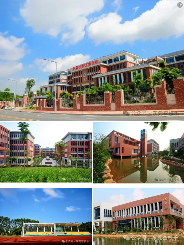 东莞中考家庭必看!公办中职汇总(升学率、简介、分数线) 第13张