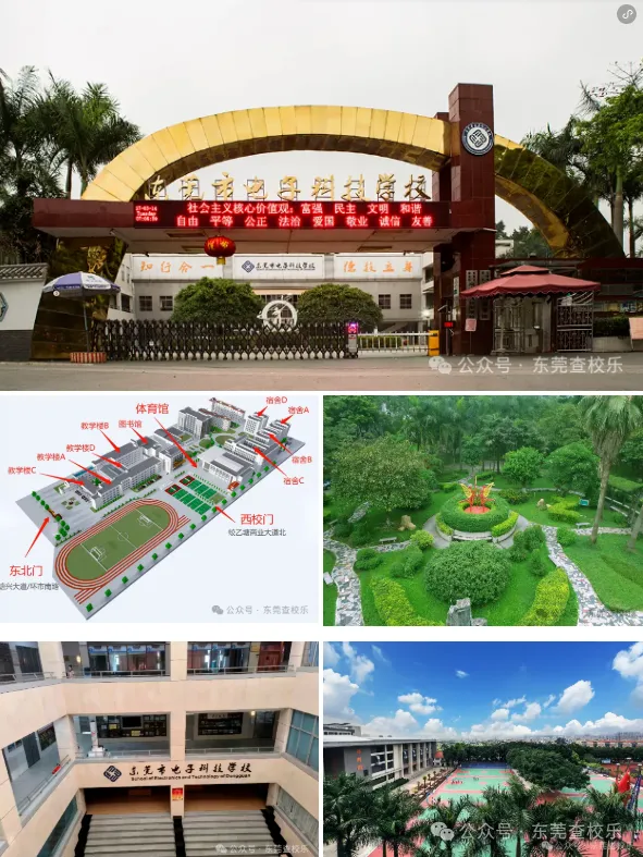 东莞中考家庭必看!公办中职汇总(升学率、简介、分数线) 第19张
