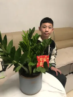 策马扬鞭正当时,劳动砺志迎中考 ——珠海市夏湾中学初三年级“我的中国年”寒假劳动实践活动 第20张